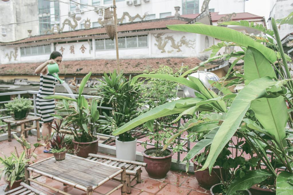 Ham Long Hidden Gem Villa Hanoi Buitenkant foto
